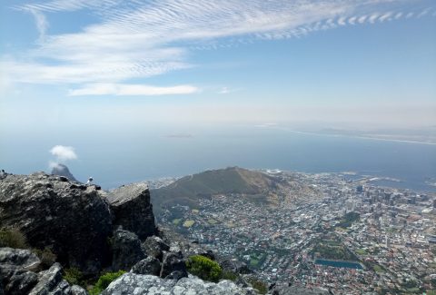 MI in South Africa