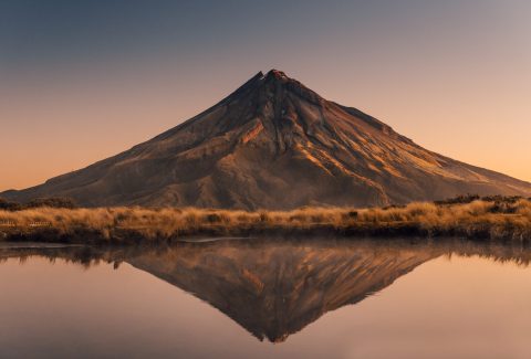 MI and the Māori Culture